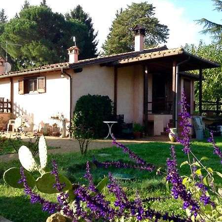 Olive Tree Hill Bed and Breakfast Zagarolo Exterior foto