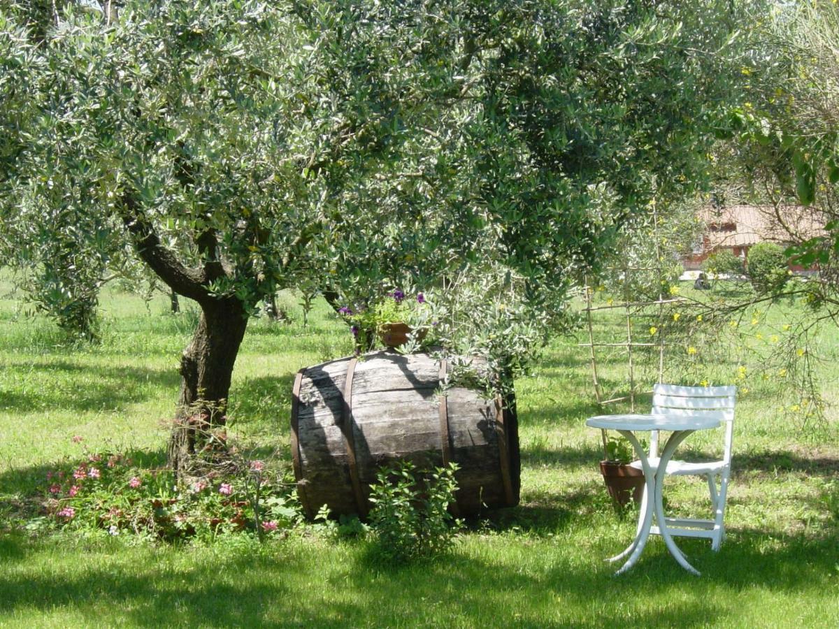 Olive Tree Hill Bed and Breakfast Zagarolo Exterior foto