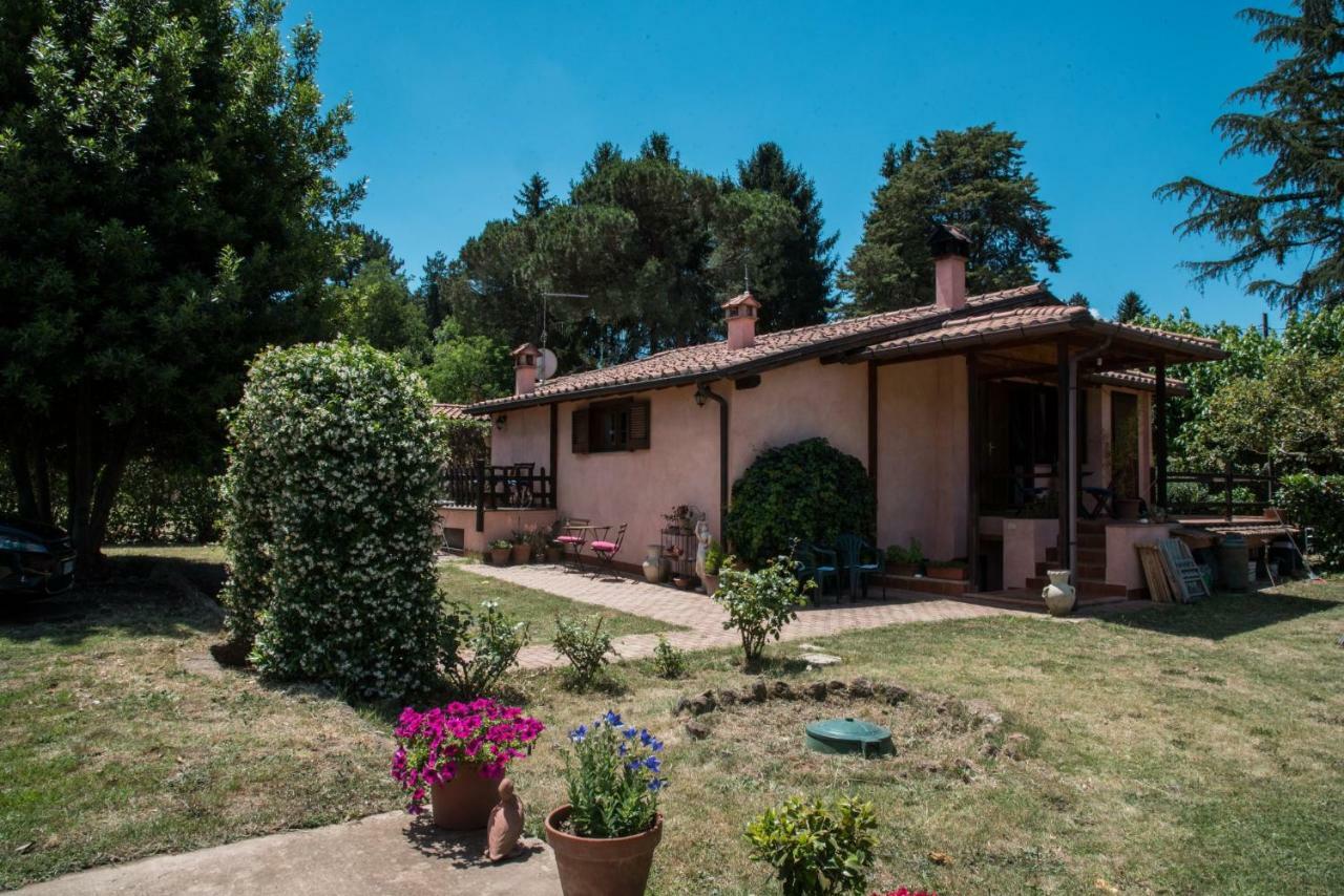 Olive Tree Hill Bed and Breakfast Zagarolo Exterior foto